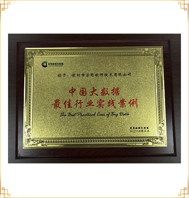 中國大數據最佳行業實踐案例獎